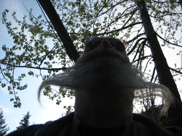 a very special beard from below